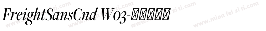 FreightSansCnd W03字体转换